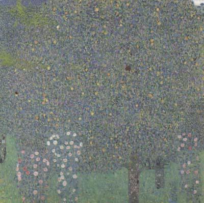Gustav Klimt Rose Bushes Under the Trees (mk20) china oil painting image